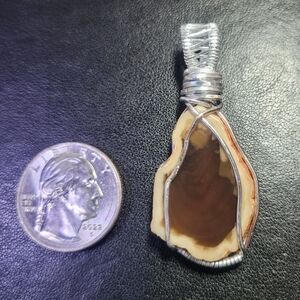 Petrified Wood Pendant
